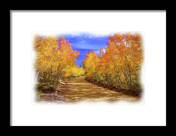 Aspens Framed Print featuring the photograph Painted Aspens by Steph Gabler