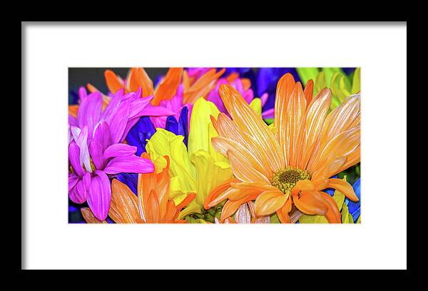 Painted Daisies Framed Print featuring the photograph Painted Daisies by Michelle Wittensoldner