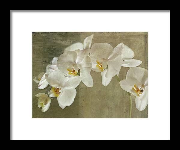 Flowers Framed Print featuring the mixed media Painted Orchid by Symposium Design