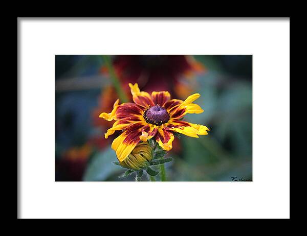Painted Susan Framed Print featuring the photograph Painted Suzsan by Ron Monsour