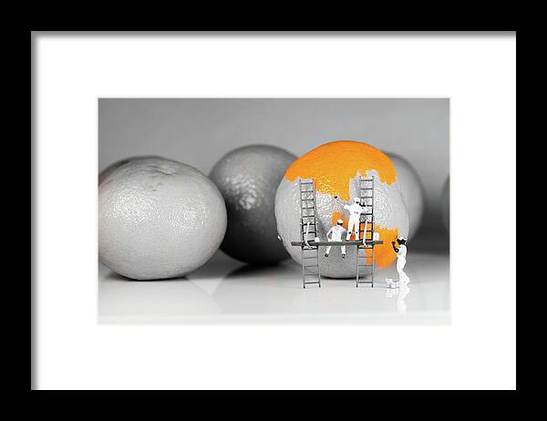 Background Wallpaper Framed Print featuring the photograph Painters on an Orange by Tammy Ray