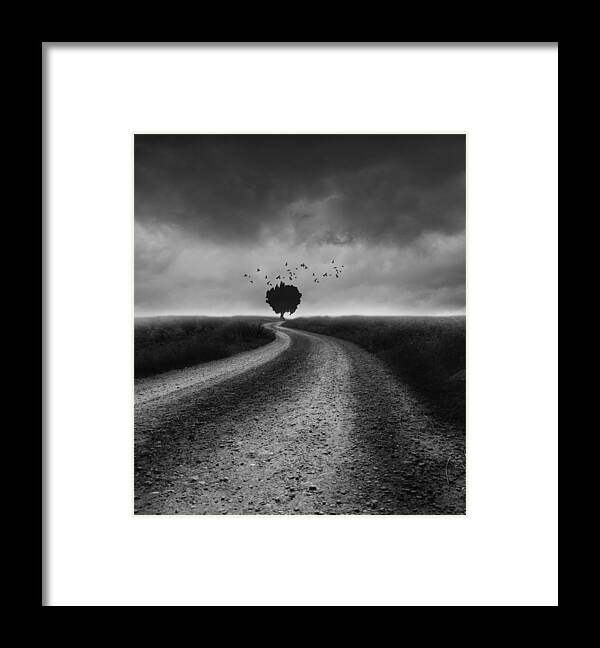 Lonely Tree Framed Print featuring the photograph Pajaros by Francisco Sanchez Fotografias