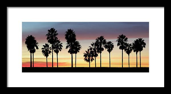 Panoramic Framed Print featuring the photograph Palm Trees At Sunset by S. Greg Panosian