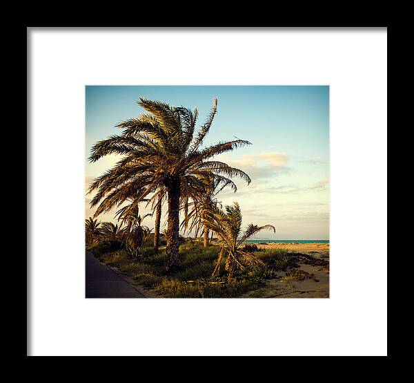 Tranquility Framed Print featuring the photograph Palm by You Can Buy This Photo.