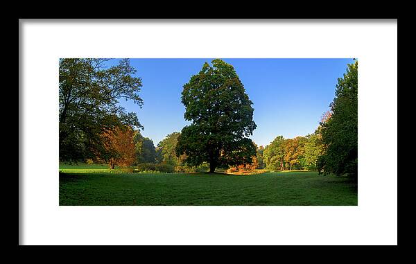 Landscape Park Framed Print featuring the photograph Park autumn landscape by Sun Travels