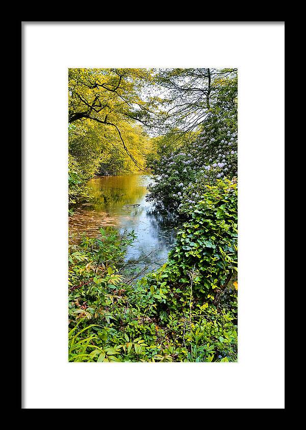 Rhododendrons Framed Print featuring the photograph Park River Rhododendrons by Stacie Siemsen
