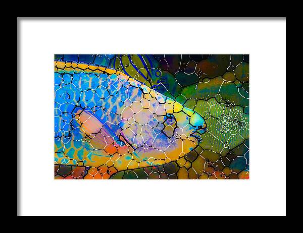 Parrot Fish Framed Print featuring the painting Parrot fish by Jeelan Clark