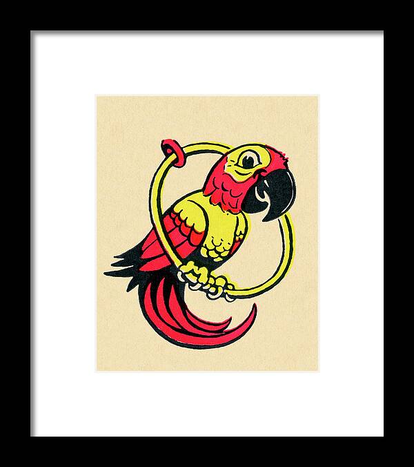 Animal Framed Print featuring the drawing Parrot Perched on a Ring by CSA Images