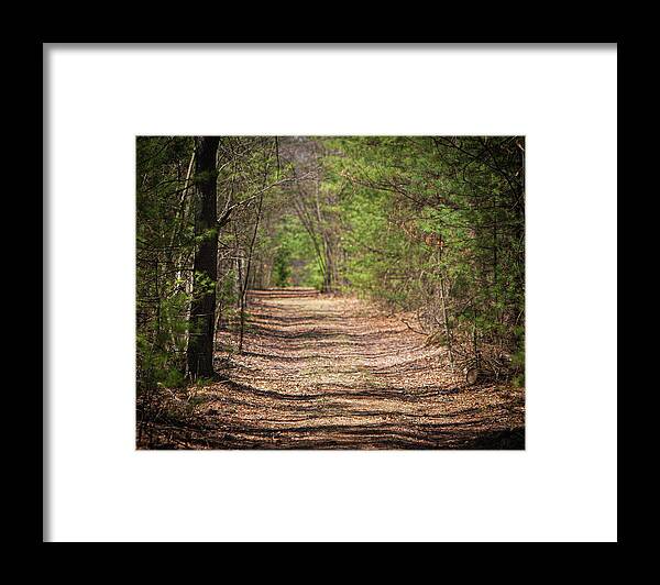 Color Framed Print featuring the photograph Path by George Pennington