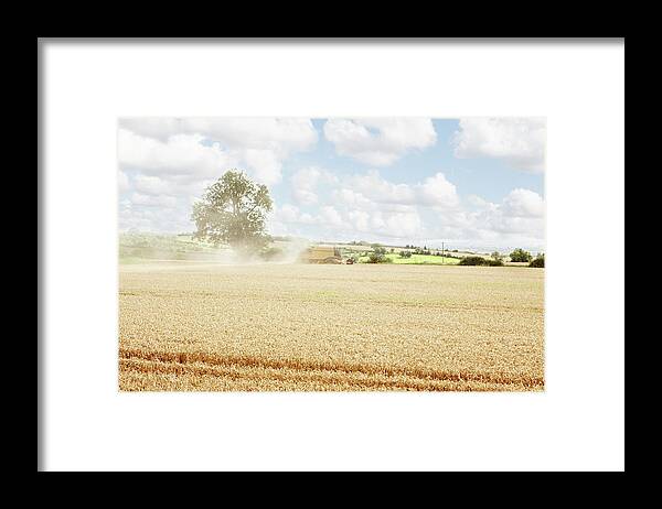 Dust Framed Print featuring the photograph Paths Carved In Crop Field by Robin James