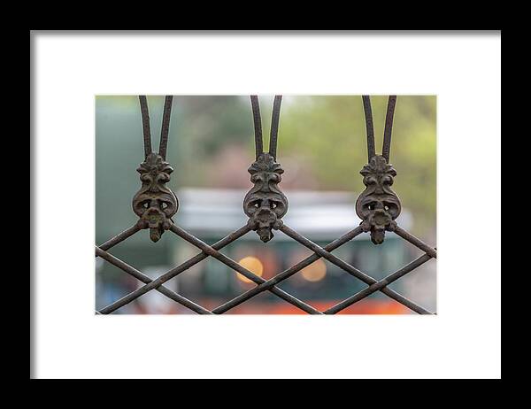 Savannah Framed Print featuring the photograph Patterns in Wrought Iron by Douglas Wielfaert