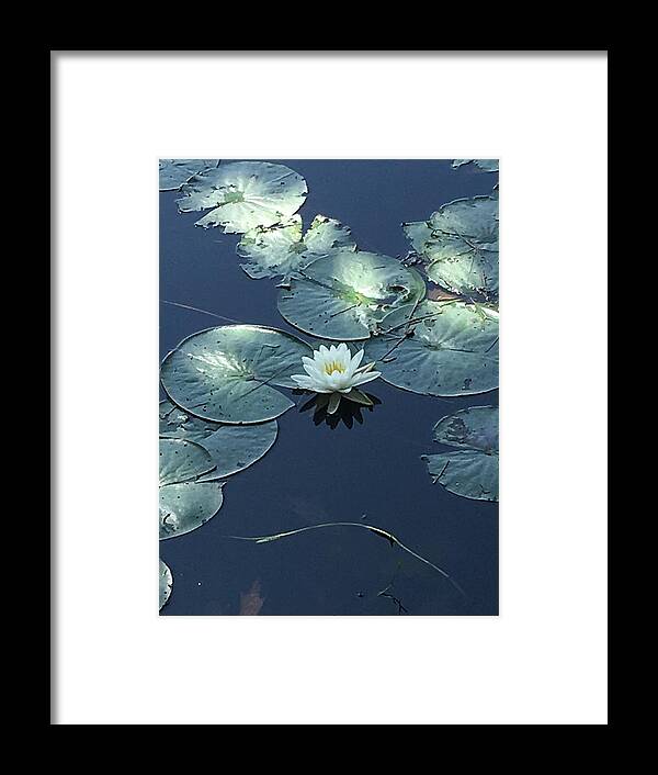 Nature Framed Print featuring the photograph Peace in the Present by Anjel B Hartwell