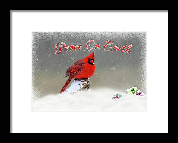 Cardinal Framed Print featuring the photograph Peace On Earth by Cathy Kovarik