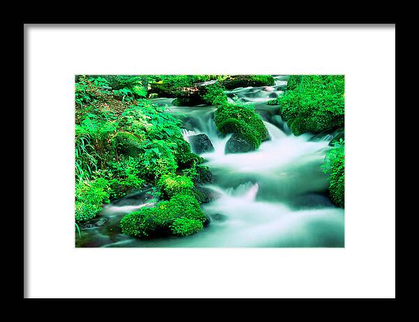 Scenics Framed Print featuring the photograph Peaceful Mountain Stream by Ooyoo
