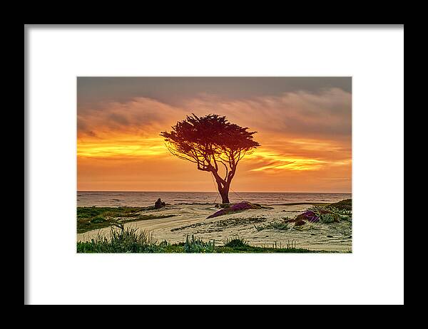 Sunset Framed Print featuring the photograph Pebble Beach Sunset by Meta Gatschenberger