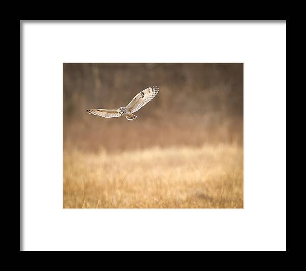 Nature Framed Print featuring the photograph Peeking by Eugene Zhu