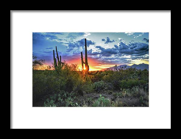 Saguaro Cactus Framed Print featuring the photograph Tucson, Arizona Saguaro Sunset by Chance Kafka
