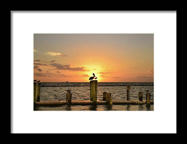  Framed Print featuring the photograph Pelican Sunrise by Christopher Rice