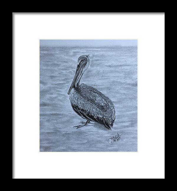 Pelican Framed Print featuring the drawing Pelican Watch by Tony Clark