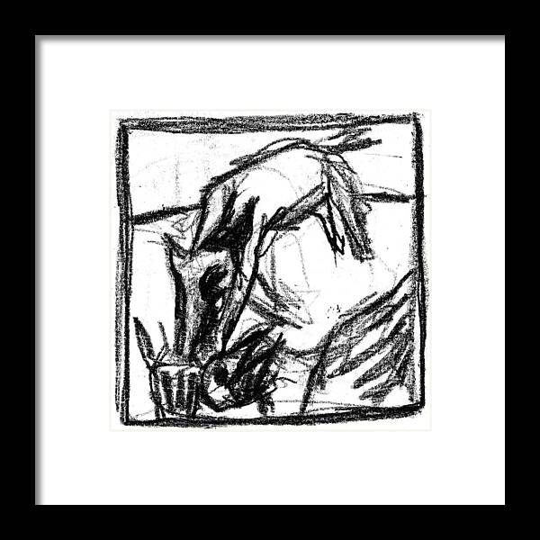 Canine Framed Print featuring the digital art Pencil Squares Black Canine f by Edgeworth Johnstone
