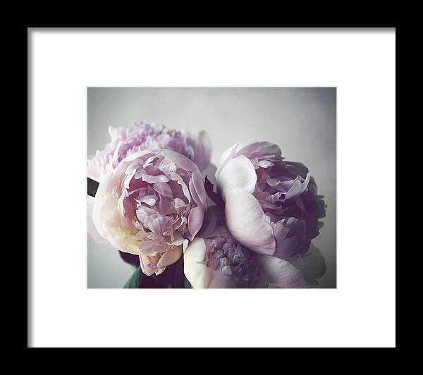  Flower Photograph Framed Print featuring the photograph Peonies on Gray by Lupen Grainne
