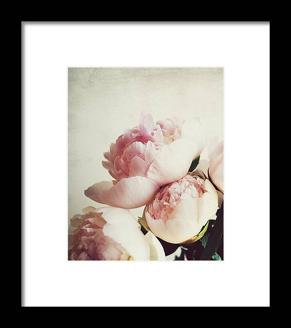 Peony Framed Print featuring the photograph Peony 1 by Lupen Grainne