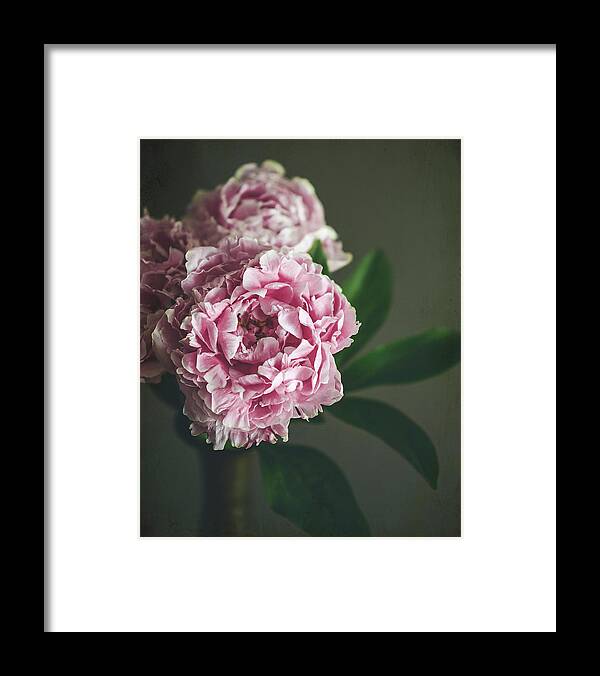 Peony Framed Print featuring the photograph Peony 15 by Lupen Grainne