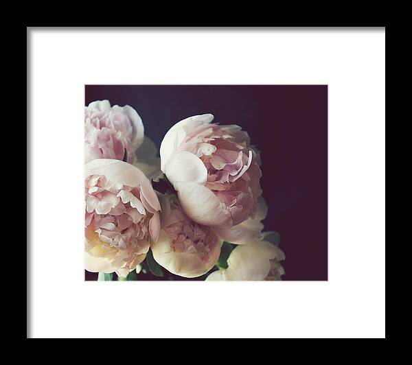 Peony Framed Print featuring the photograph Peony Three by Lupen Grainne