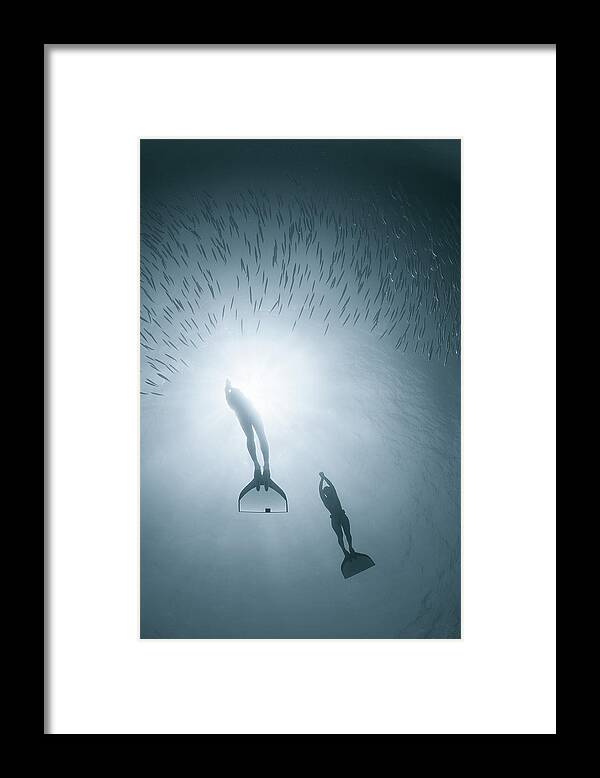 fange delvist Normal People Diving Deep In Water Framed Print by Nature, Underwater And Art  Photos. Www.narchuk.com