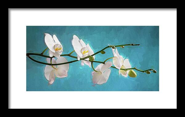 Orchids Framed Print featuring the photograph Perfect Phalaenopsis Orchid 110 by Rich Franco