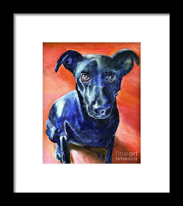 Dog Framed Print featuring the painting Peter by Kate Conaboy