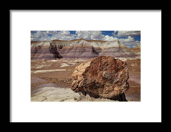 Painted Desert Framed Print featuring the photograph Petrified Forest 31 by Ricky Barnard