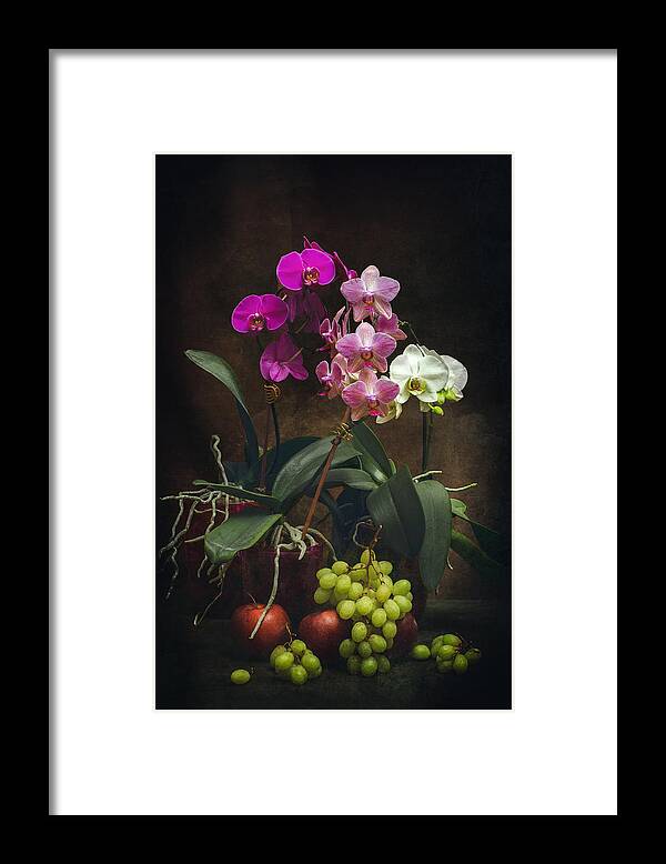 Background Framed Print featuring the photograph Phalaenopsis Orchid Bush In A Pot With Grapes And Apples by Brig Barkow