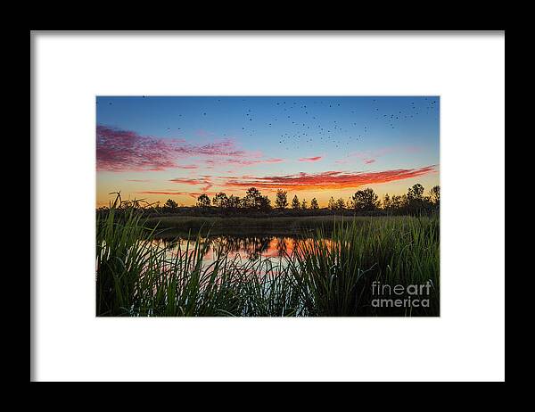 Phinizy Swamp Sunrise - Augusta Ga Georgia Framed Print featuring the photograph Phinizy Swamp Sunrise - Augusta GA by Sanjeev Singhal