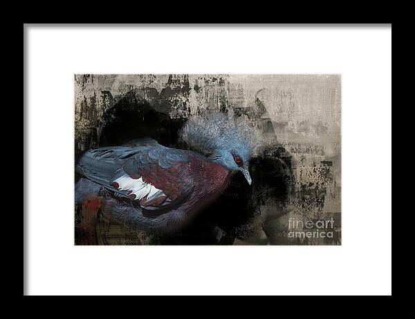 Victoria Crowned Pigeon Framed Print featuring the photograph Pigeon Queen by Eva Lechner