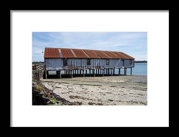 Pilings And Rusty Roof Framed Print featuring the photograph Pilings and Rusty Roof by Tom Cochran
