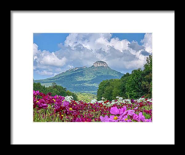 Landscape Framed Print featuring the photograph Pilot Mountain Late Summer by Chris Berrier