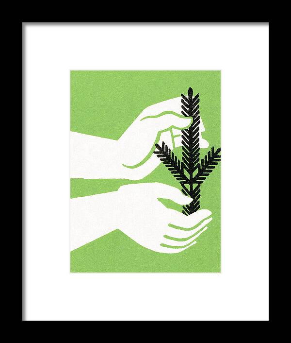 Bough Framed Print featuring the drawing Pine branch in hand by CSA Images