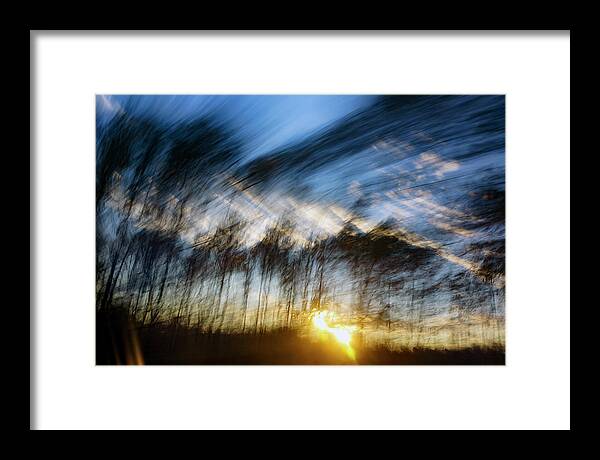  Framed Print featuring the photograph Pines at Sunset 2 by Gerald Grow
