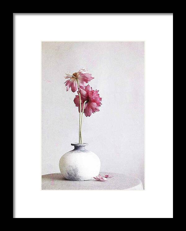 Lotus Framed Print featuring the photograph Pink Lotus Flower by Fangping Zhou