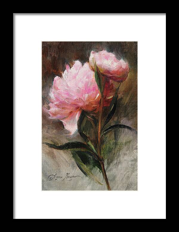 Peonies Framed Print featuring the painting Pink Peonies by Anna Rose Bain