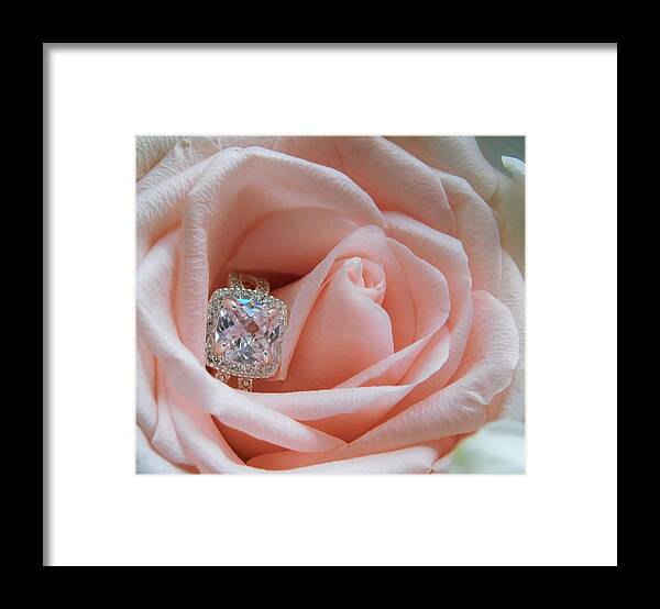 - Pink Rose And Diamond Framed Print featuring the photograph - Pink Rose and Diamond by THERESA Nye
