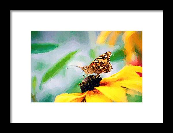 Cosmopolitan Framed Print featuring the photograph Poised Painted Lady Butterfly by Don Northup