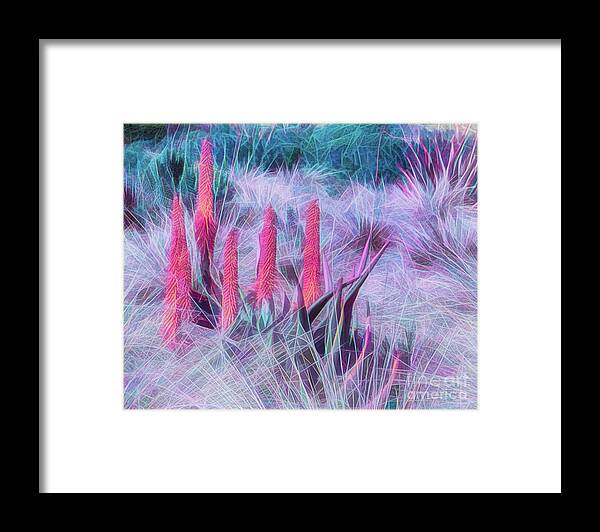 Art Framed Print featuring the photograph Poker Plants in Pinks and Blues by Roslyn Wilkins