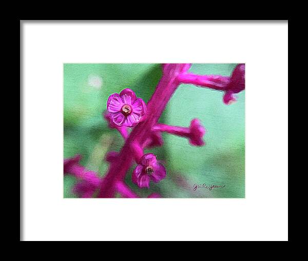 Brushstroke Framed Print featuring the photograph Pokeweed Flower Closeup by Jori Reijonen