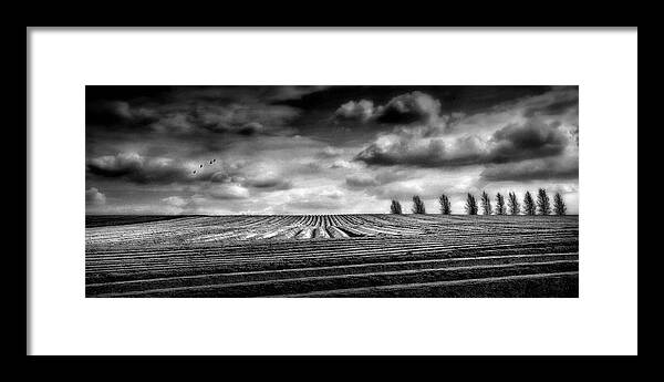 Landscape Framed Print featuring the photograph Polder Landscape by Marc Apers