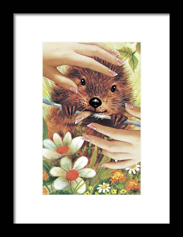 Animal Framed Print featuring the drawing Porcupine by CSA Images