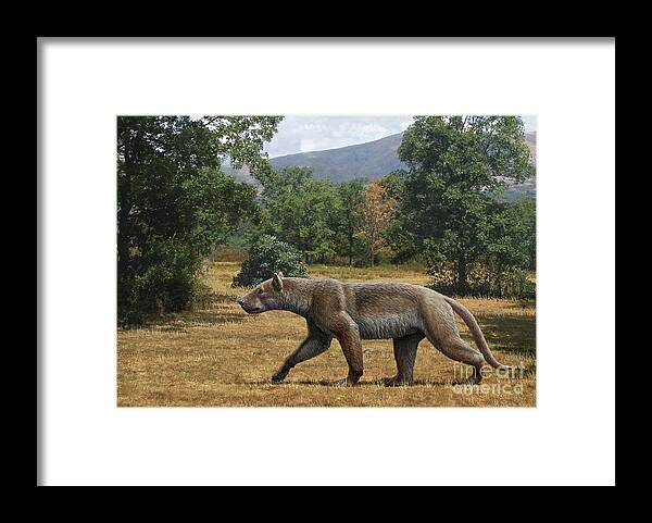 Nobody Framed Print featuring the photograph Prehistoric Amphicyonid Bear-dog by Mauricio Anton/science Photo Library