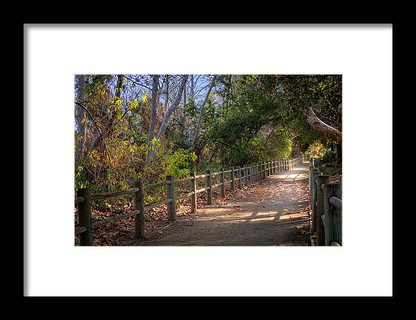 Path Framed Print featuring the photograph Pretty Path by Alison Frank