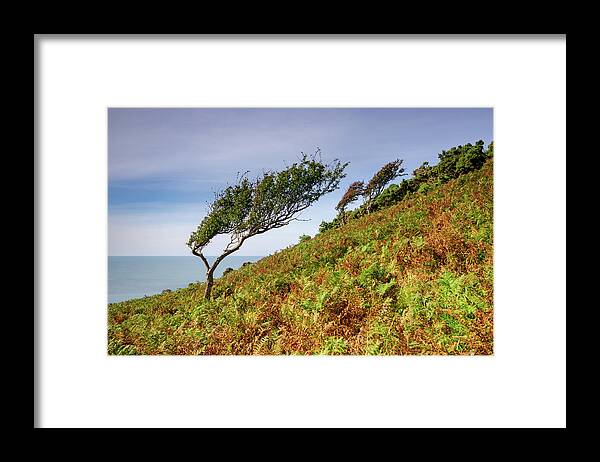 Valley Of The Rocks Framed Print featuring the mixed media Prevailing by Smart Aviation